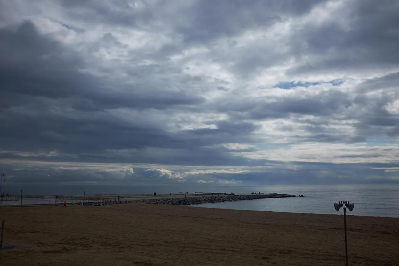 Luxury 1Br With Patio Near The Beach contacts